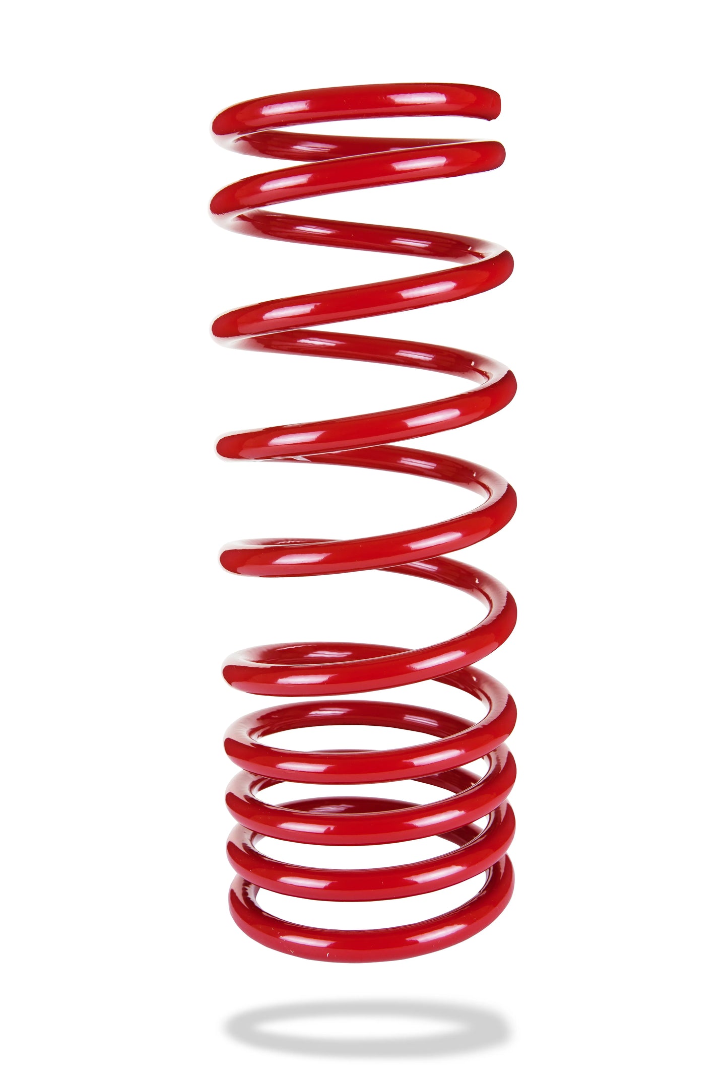 2561